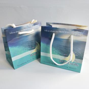 Small size custom printing paper gift bags 