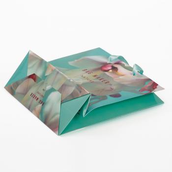 CMYK printing paper gift bag with ribbon handles