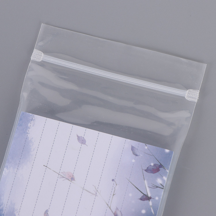 Plastic Frosted Zip Lock Bag